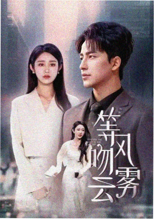 第九个证人 电视剧在线观看免费观看